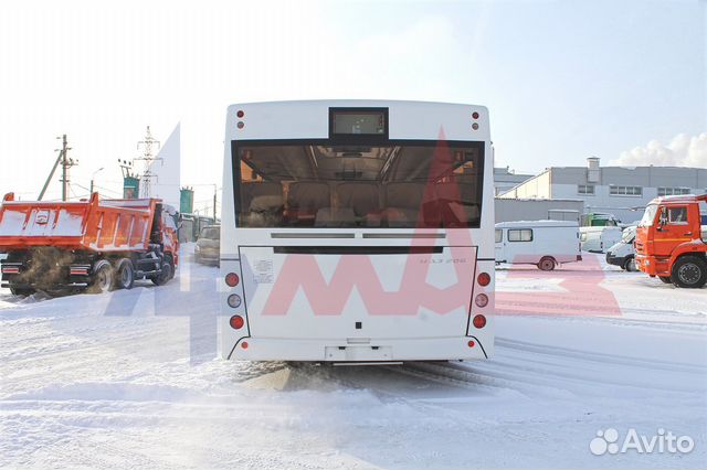 Маз 206 автобус Маз 206 автобус