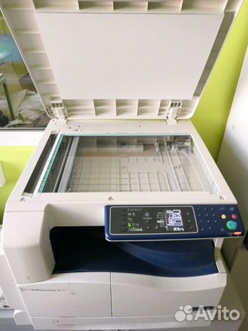 Мфу xerox WC 5019 A3