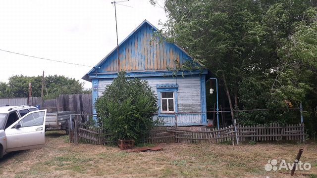 Авито Бузулук Продажа Домашних Цветов