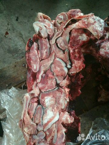 Рубец говяжий (требуха), мясо для собак купить на Зозу.ру - фотография № 2