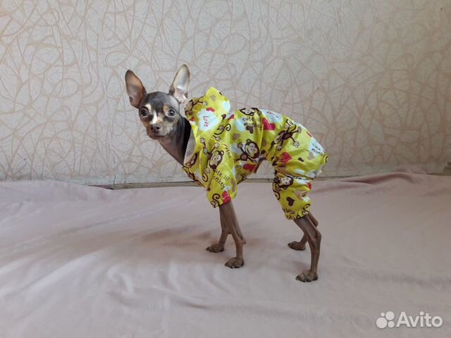Комбинезон для собачки
