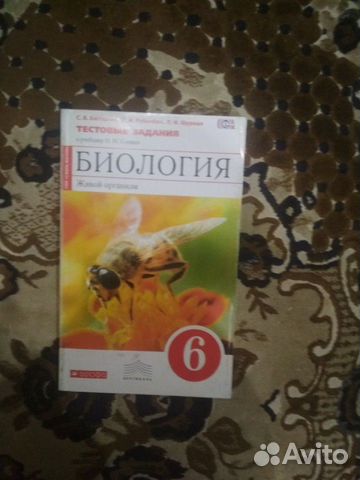 Учебники и рабочие тетради 6 класс
