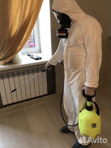 Уничтожение тараканов,клопов,блох,грызунов Уничтожение тараканов,клопов,блох,грызунов