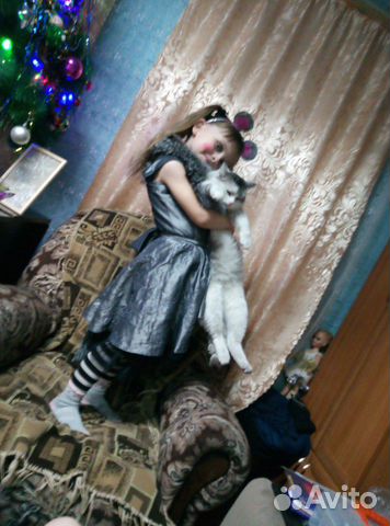 Кот купить на Зозу.ру - фотография № 4