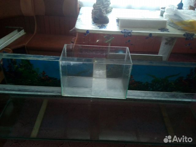 Продам аквариумы купить на Зозу.ру - фотография № 2