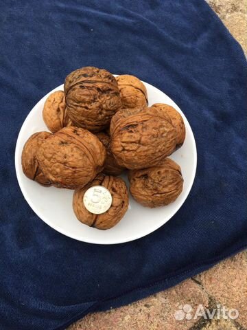 Грецкий орех саженцы арктик норд