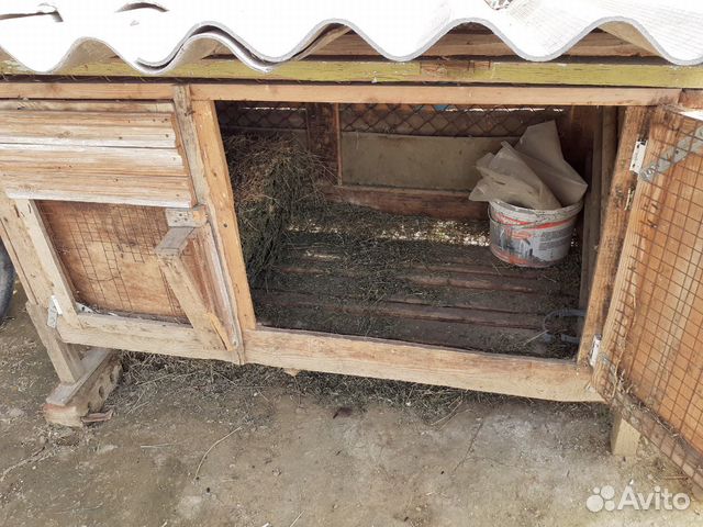Домик для кроликов купить на Зозу.ру - фотография № 2