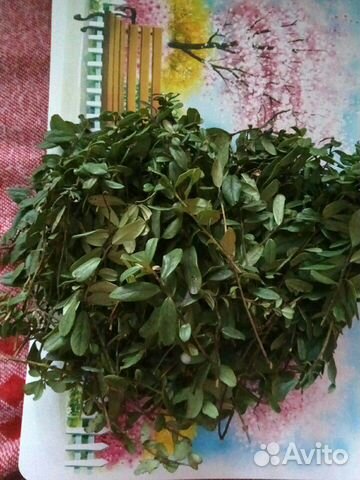 Брусника/ (куст., листья) Свежая из л