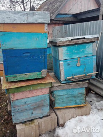 Улей для пчел купить на Зозу.ру - фотография № 2