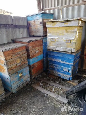 Ульи для пчёл купить на Зозу.ру - фотография № 4