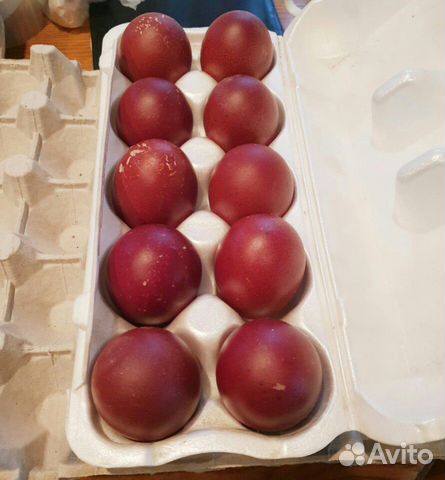 Инкубационное яйцо Маран купить на Зозу.ру - фотография № 2