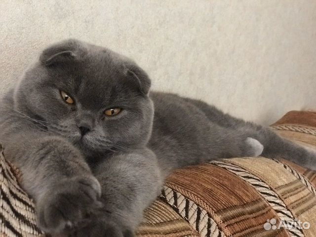 Вязка Вязка