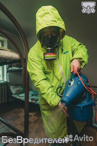Уничтожение Клопов Тараканов Вшей Блох Насекомых Уничтожение Клопов Тараканов Вшей Блох Насекомых