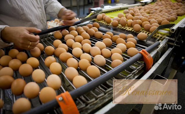 Упаковщик/ца на фабрику вахта с Питанием Упаковщик/ца на фабрику вахта с Питанием