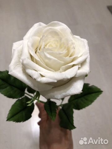 Роза цветок Холодный фарфор подарок композиция для