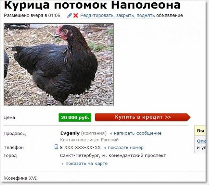 Авито картинки смешные