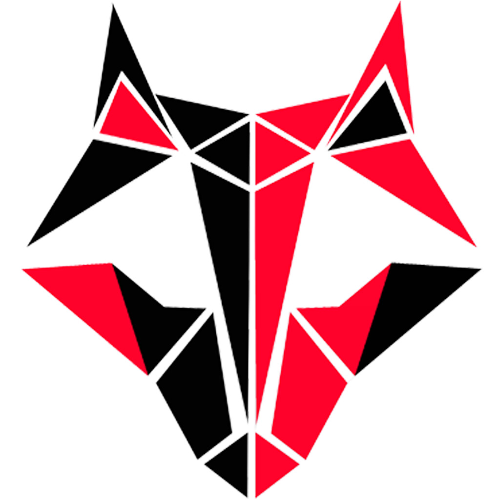 Fox computers. Furyfox.