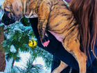 Мраморно - тигровый щенок питбуль объявление продам