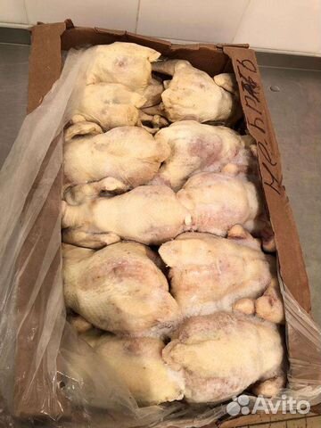 Корма для животных