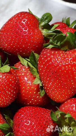 Ароматизатор пищевой Клубника