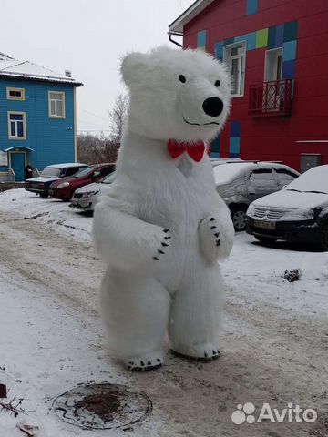 Праздники мероприятия белого медведя