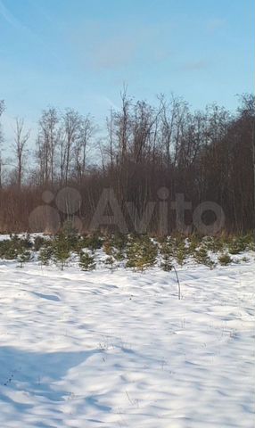 Участок 2,87 га (ИЖС)