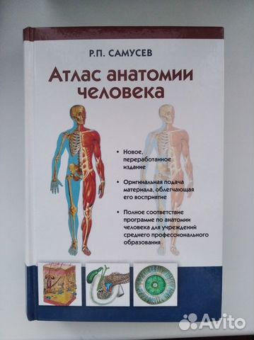 Самусев атлас анатомии человека читать