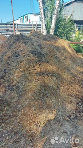 Коннский навоз, бесплатно