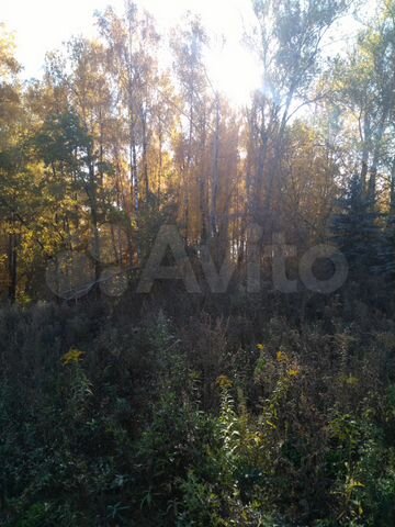 Участок 62,9 сот. (ИЖС)