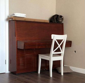 Пианино ребенку в муз.школу.Доставим Настроим