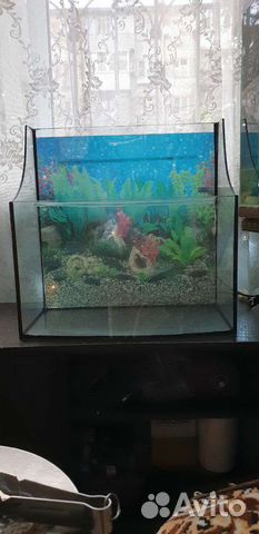 Аквариум
