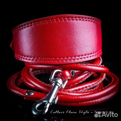 Ошейник для маленьких собак