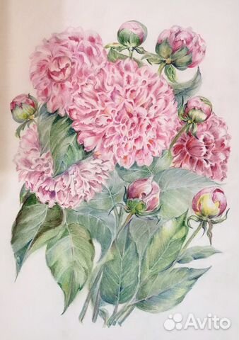 Картины графика