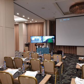 Аренда телевизора, панели, плазм 42,55,65,75,86 