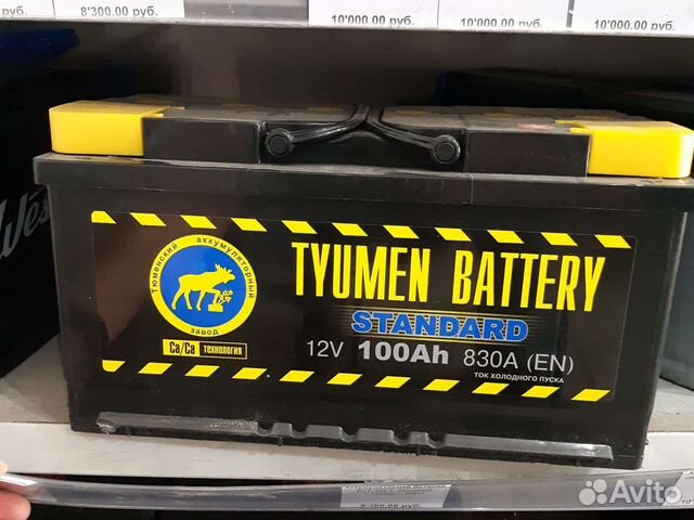 Аккумулятор tumen standard 100 AH