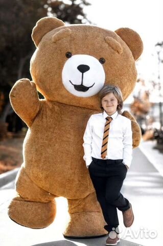 Плюшевый медведь, мишка Тедди, Белый Медведь