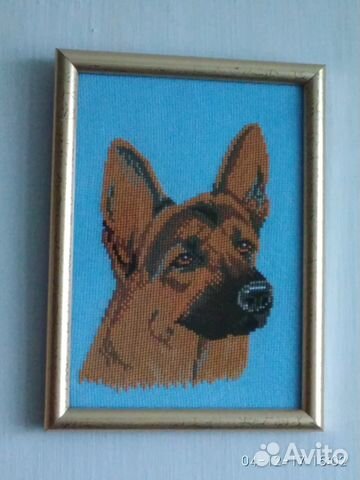 Жёлтые Собаки