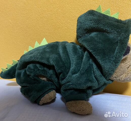 Костюм для животных Дракон