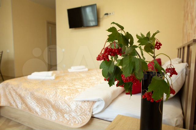 1-к. квартира, 42 м², 13/17 эт.