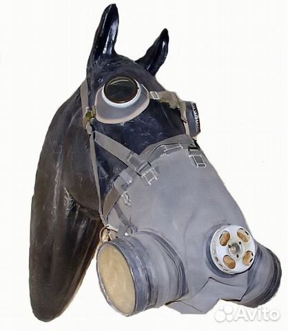 Противогаз для лошади армейский