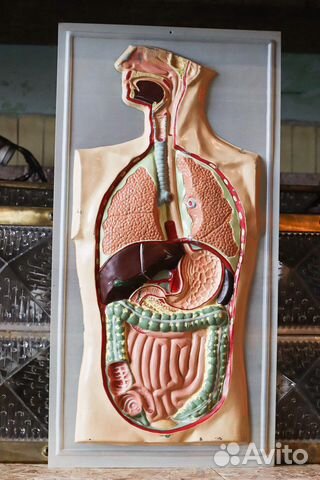 Пособие по биологии СССР