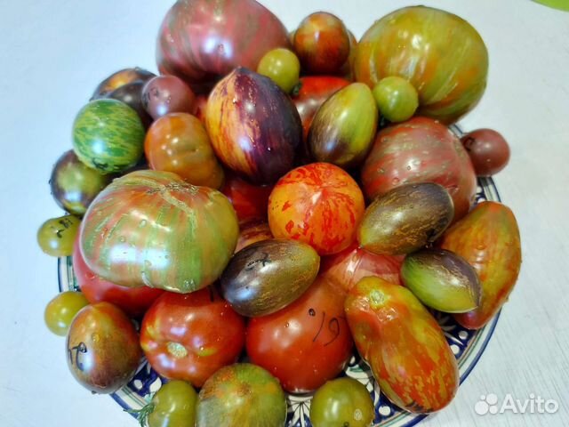 Семена томатов коллекционные