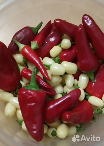 Семена острых, жгучих перцев