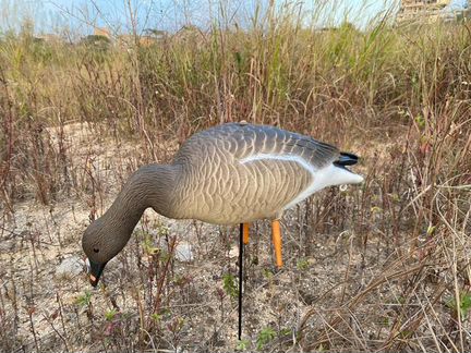 Охота с чучелами Манком Засидкой