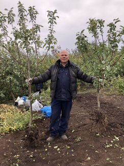 Cаженцы Уфа. Питомник Гилёвых