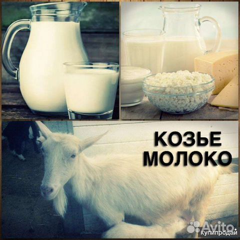 Козье молоко