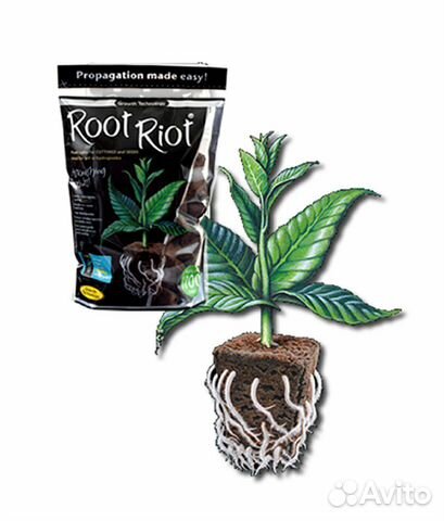 Root Riot Clonex Kalong