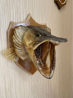 Чучело рыбы