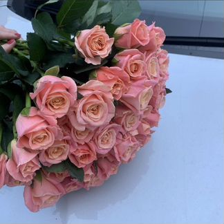 Розы розовые