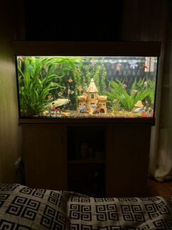 Аквариум